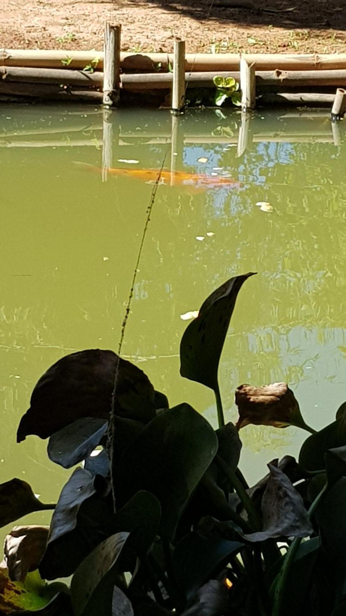 Chales Magia Das Aguas Águas de Lindóia Buitenkant foto