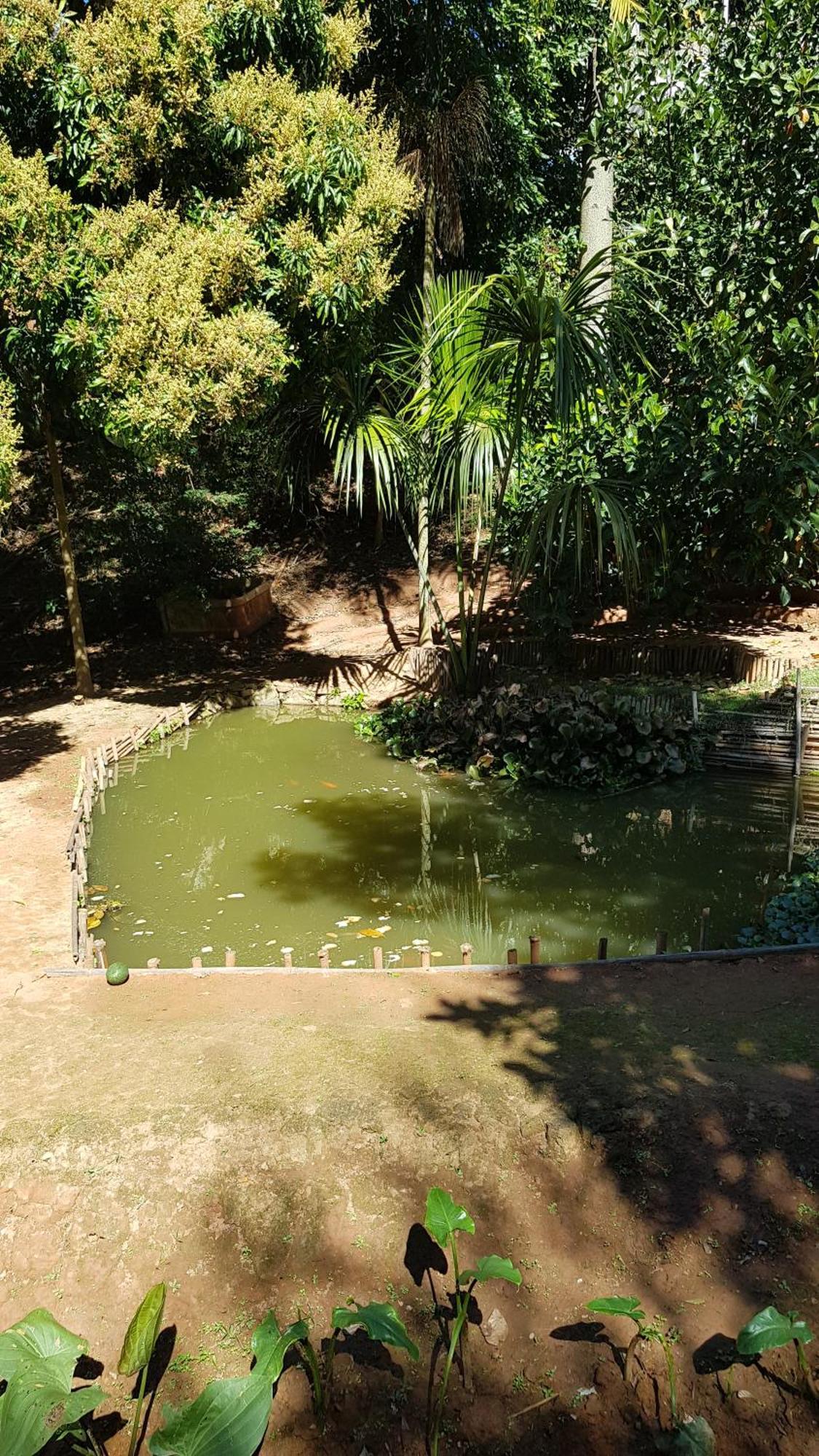 Chales Magia Das Aguas Águas de Lindóia Buitenkant foto