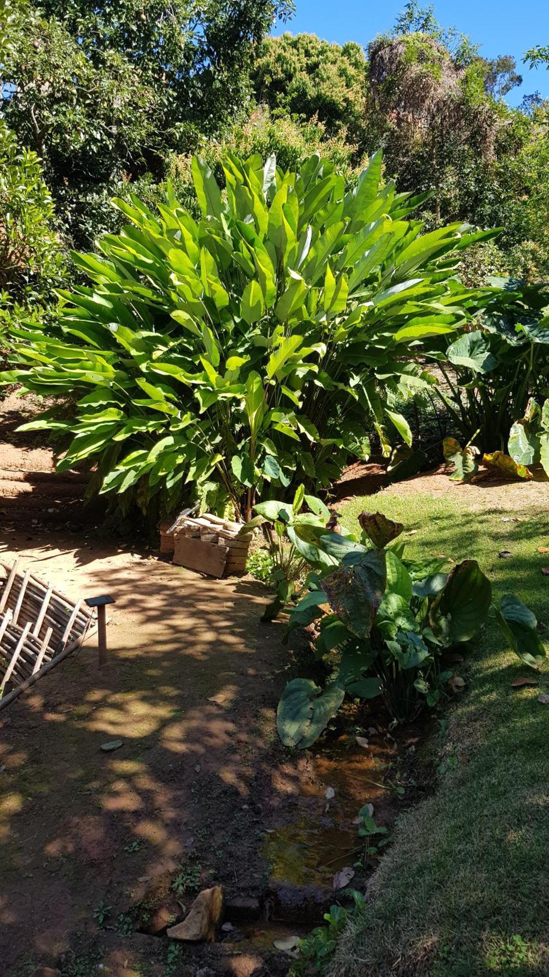 Chales Magia Das Aguas Águas de Lindóia Buitenkant foto