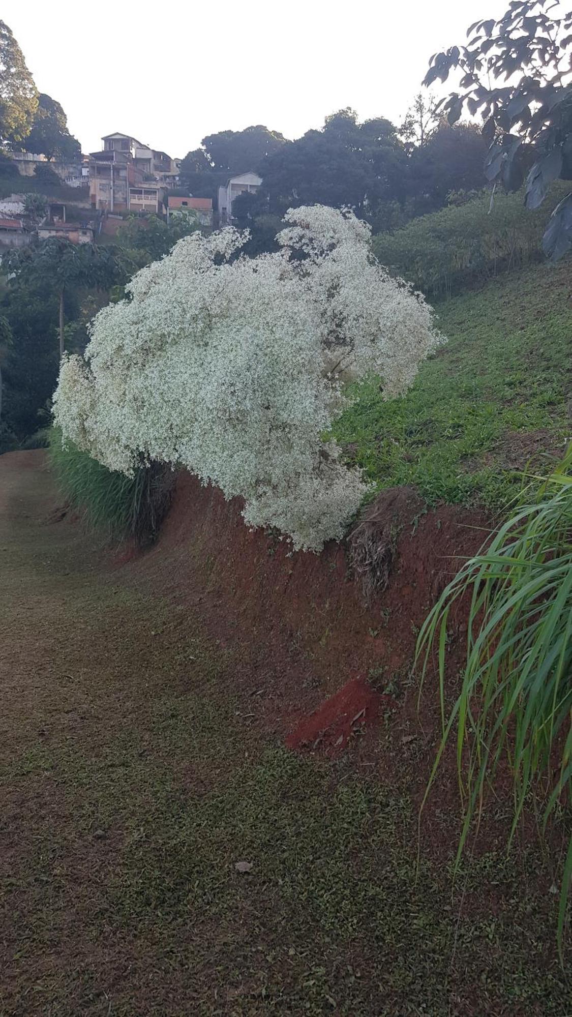 Chales Magia Das Aguas Águas de Lindóia Buitenkant foto